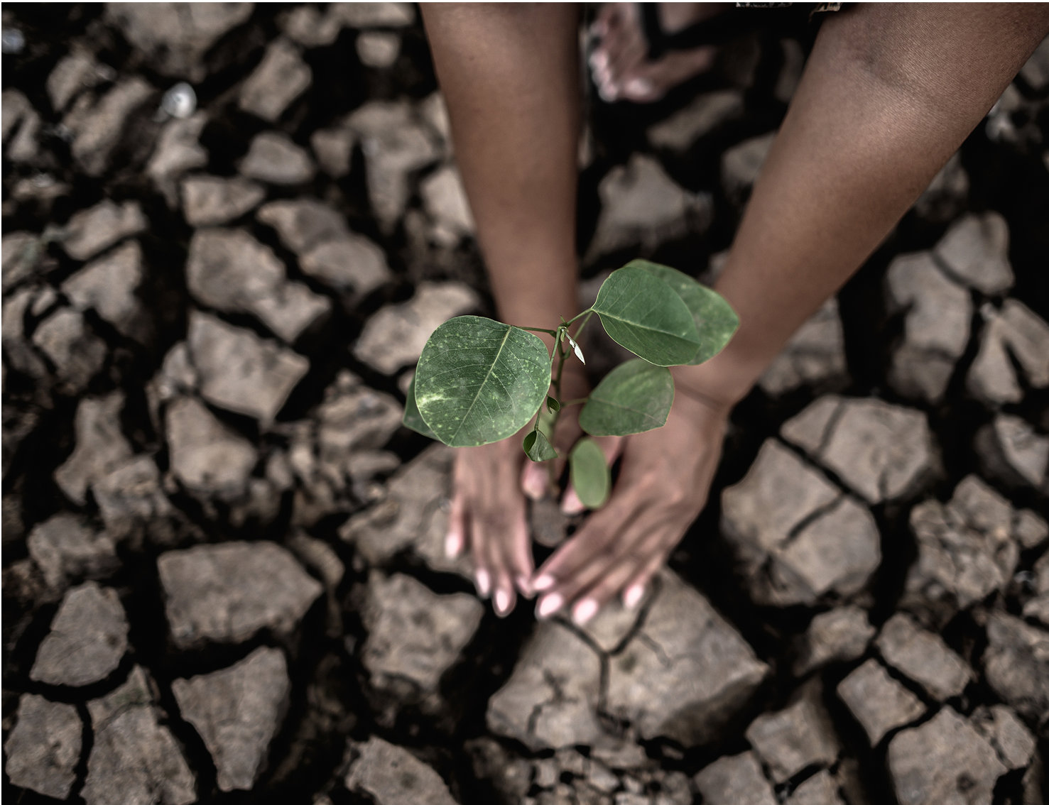 Conservation and Climate Justice